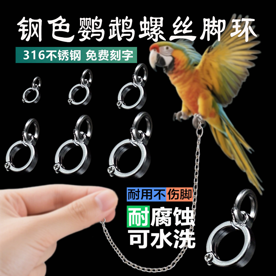 不锈钢鹦鹉脚环易安装不伤鸟脚链