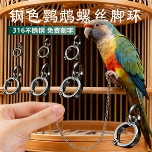 不锈钢鹦鹉螺丝脚环小太阳玄凤灰鹦鹉金刚中大型鸟专用脚链可拆卸