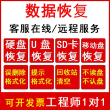 电脑移动硬盘数据恢复SD卡U盘内存卡删除格式化文件修复远程服务