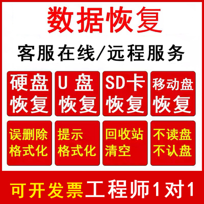 电脑移动硬盘数据恢复SD卡U盘内存卡删除格式化文件修复远程服务