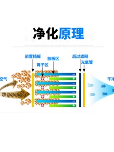 新饭店油烟净化器酒店厨房食堂商用工业除烟除味净化静电双电场促