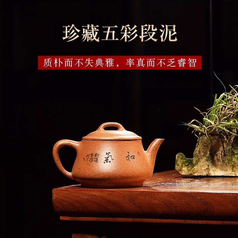 名壶秋月宜兴紫砂壶泡茶壶名家纯手工五彩段影瓢家用茶壶茶具紫沙