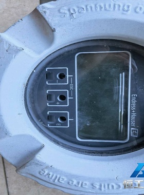 询价瑞士恩德斯豪斯Promass300质量流量计，型号8F3B