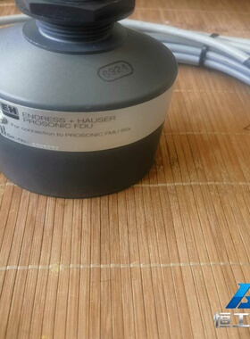 询价EndressHauser恩德斯豪斯超声波物位计探头F