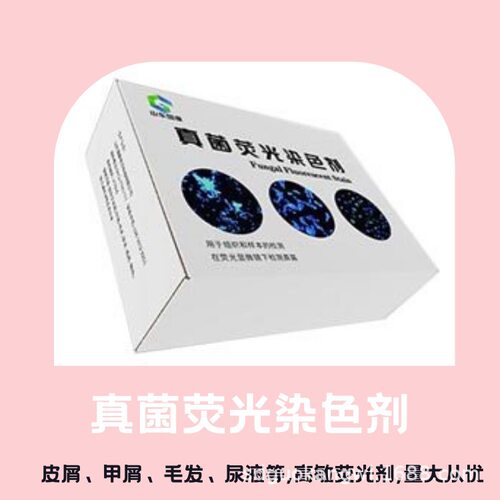 国康 皮肤科做的真菌荧光检测试剂GK-ZJ形态学保留完整