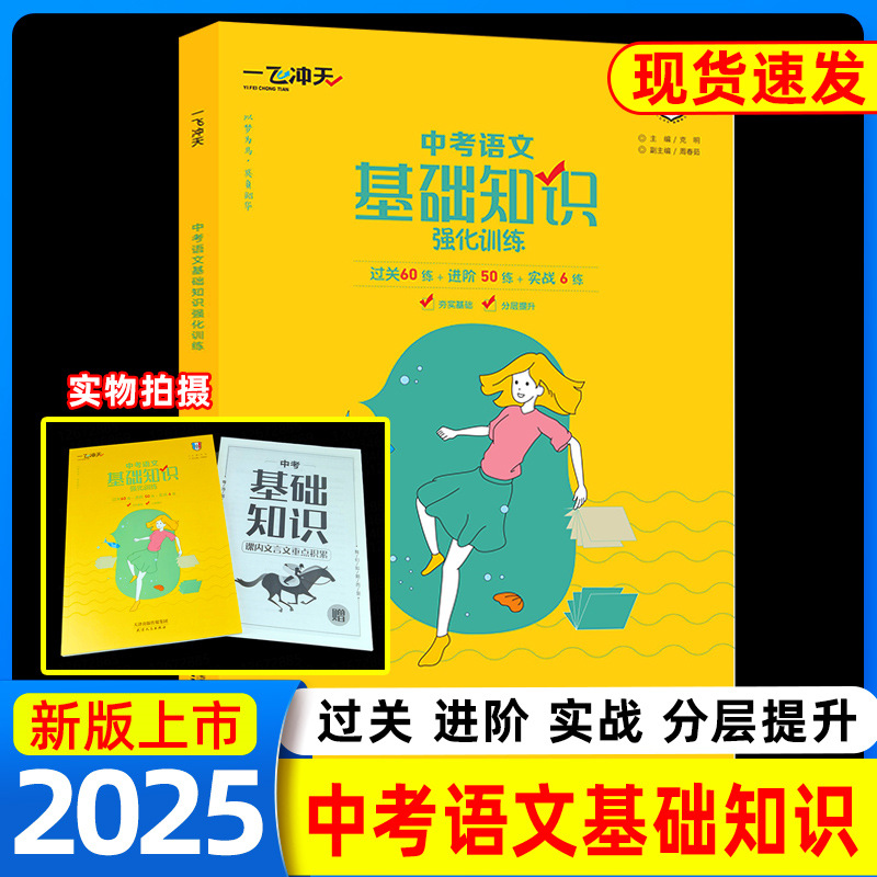 2025版一飞冲天综合版中考语文基础知识强化训练 初中语文基础知识强化训练积累与运用综合训练9九年级上册下册基础知识专项训练