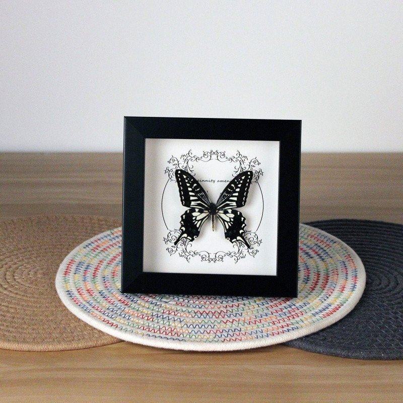 E4C真蝴蝶标本相框 木质装饰画复古相框摆台家具装饰生日礼物520,家居饰品,标本类装饰画,淘宝优惠券,粉丝福利购,淘宝优惠卷