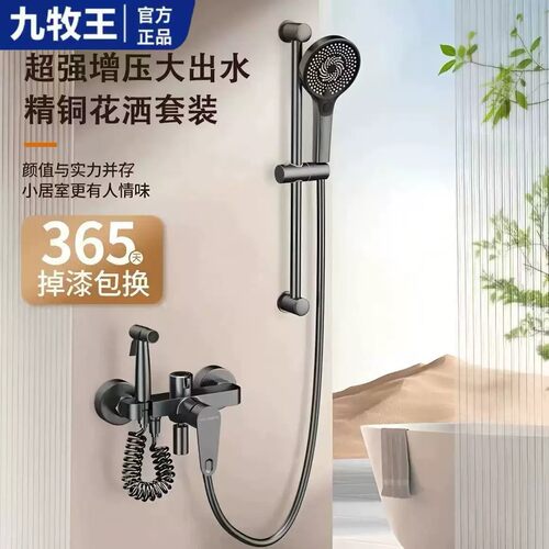 国补正品全铜淋浴花洒套装