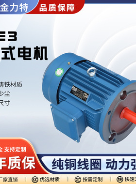 国标铜线电机YE2YE3三相异步电动机YE3-132S1-2立式电机