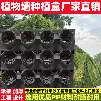 户外垂直真植物墙绿植墙种植盒立体绿化壁挂自动化灌溉绿化植物墙