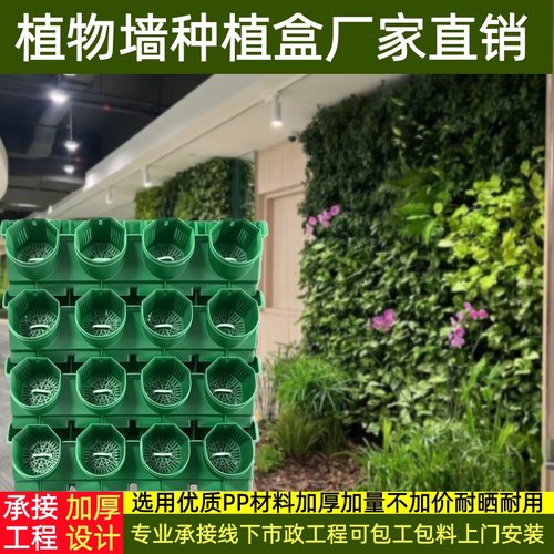 真植物墙种植盒户外立体垂直绿化