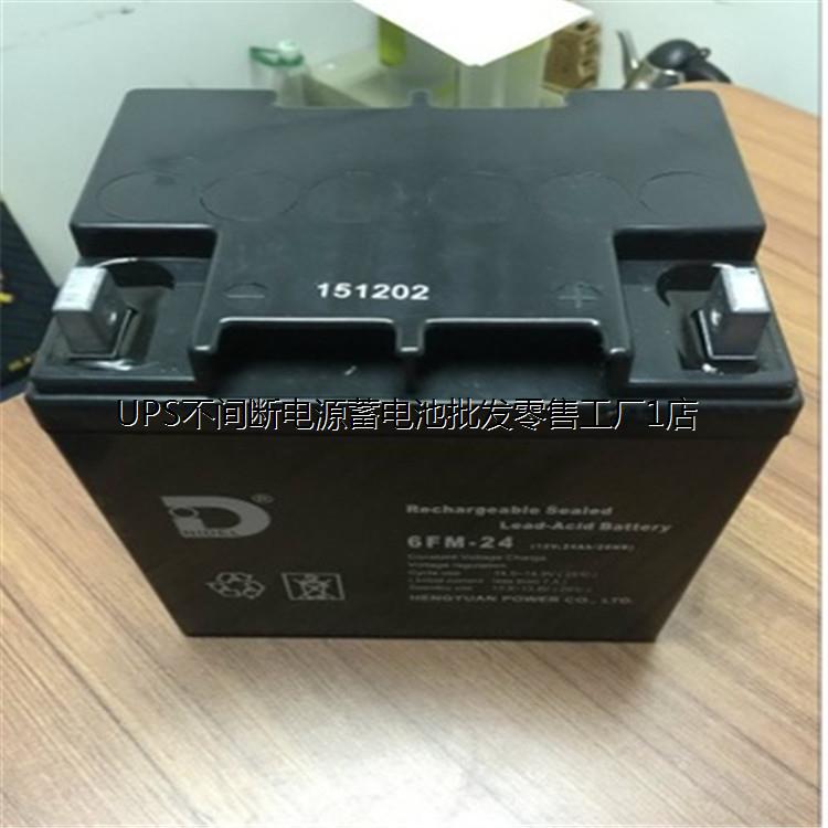 NIDEL/力得蓄电池6FM-33