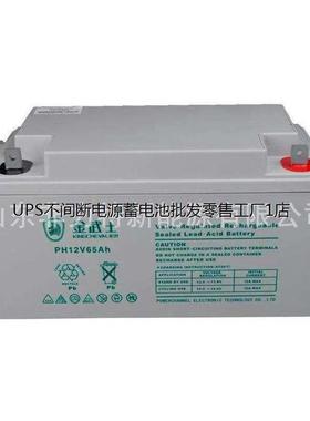 金武士蓄电池PC-12055YL 12V55AH 直流屏 机房 太阳能 UPS电源消
