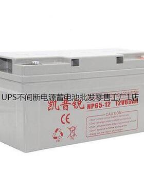 凯普锐蓄电池NP100-12 高能绿色环保工匠电瓶 UPS/EPS后备应急电