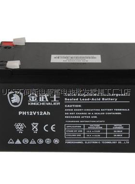金武士蓄电池PW80-12 12V80AH直流屏 UPS 机房配套