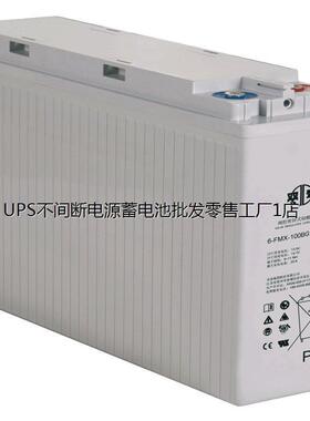 双登狭长蓄电池6-FMX-170 12V170AH通信基站变电站电源专用电池