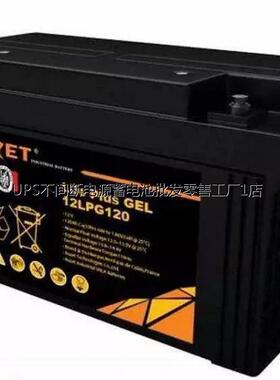 RUZET路盛蓄电池12LPG100免维护储能12V100AH不间断电源配套电池
