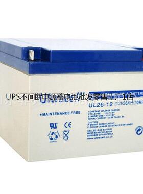 Ultracell蓄电池UL24-12L精密系统设备UPS/EPS电源免维护12V24AH