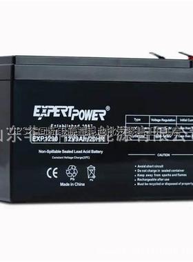 ExpertPower蓄电池EXP1270 12V12AH/20HR直流屏UPS配套营销中心