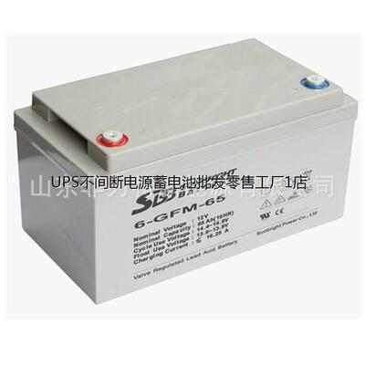 SBB蓄电池6-GFM5圣豹免维