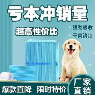 狗狗宠物尿垫加厚除臭隔尿垫吸水垫小狗上厕所猫用一次性尿片定点
