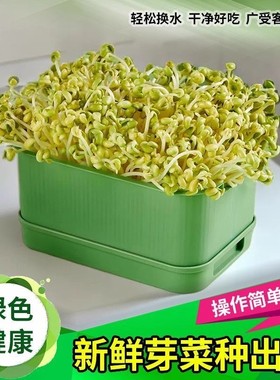 育苗盘种植发芽盆大容量家用豆芽机发豆芽专用盆神器生黄绿豆芽罐