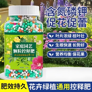 绿植花卉通用控释肥多肉颗粒缓释肥养花专用营养肥料氮磷钾复合肥