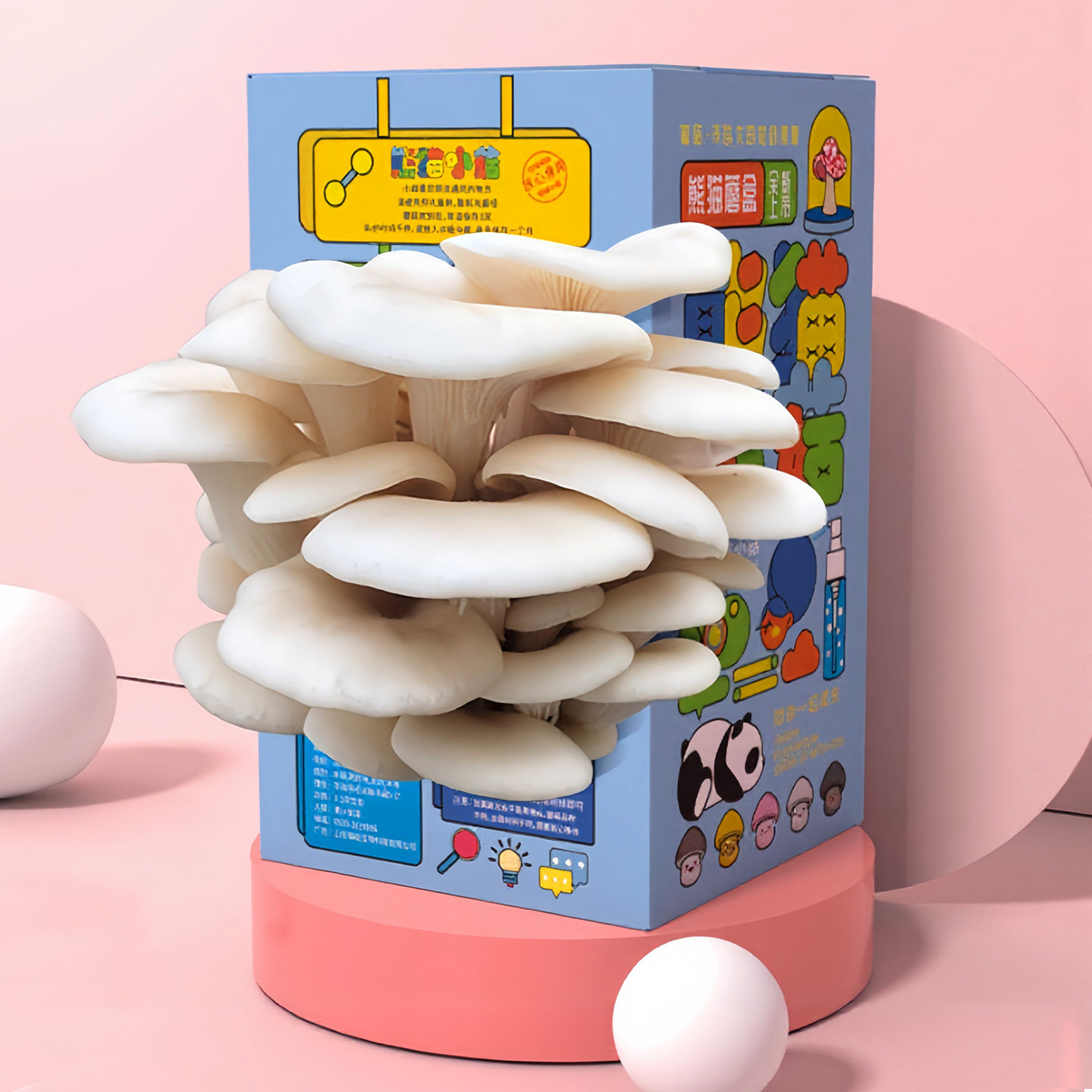 蘑菇盒子蘑菇种植包蘑菇菌包礼盒盒装平菇菌包室内家庭学校种植包,鲜花速递/花卉仿真/绿植园艺,多肉植物,淘宝优惠券,粉丝福利购,淘宝优惠卷