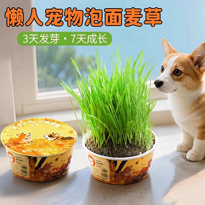 宠物狗草犬用麦草狗狗专用草狗零食狗狗用品懒人无土狗草混合麦草