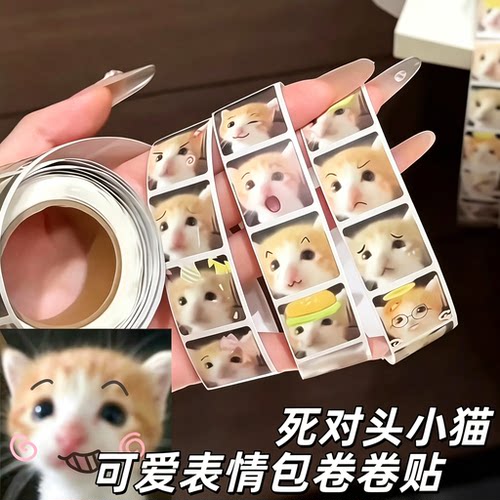 死对头小猫贴纸萌宠表情包卷卷贴儿童手账装饰贴学生教室整蛊道具