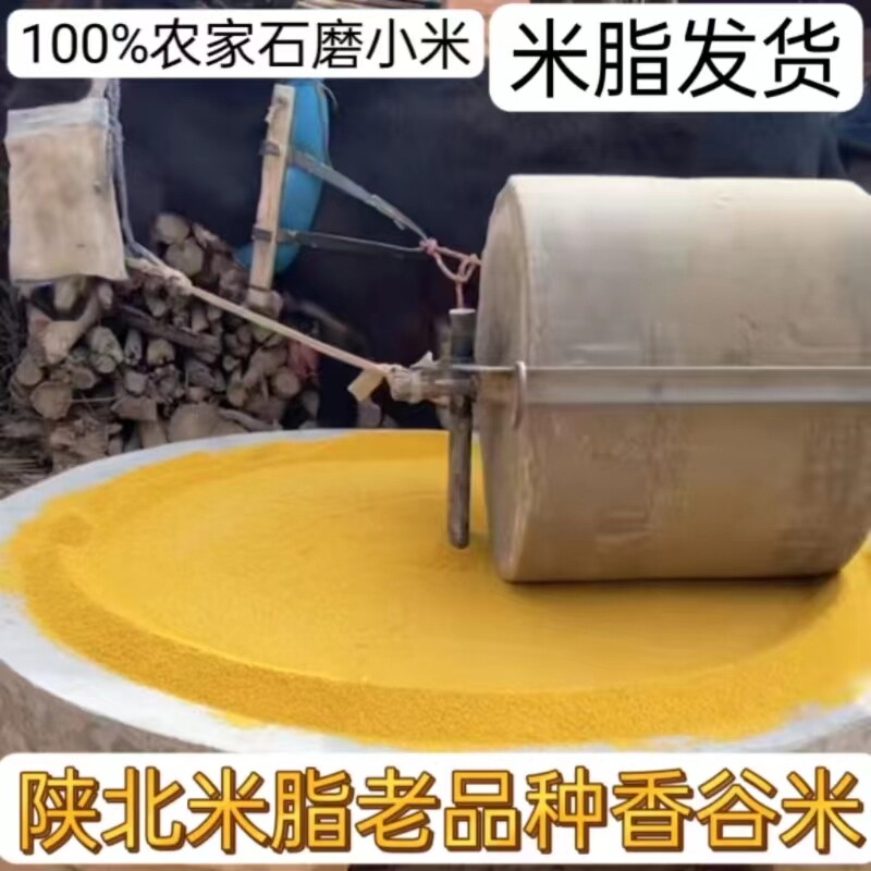 陕北正宗米脂老品种香谷米2026新小米农家石磨黄小米五谷杂粮
