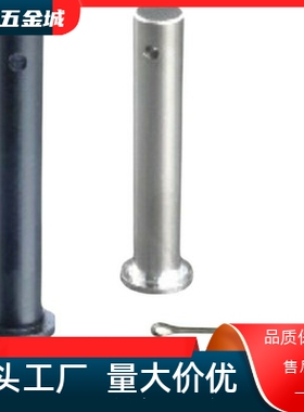 HCMG4/HCLGN5/SHCLGN8/HCMGH10/12/15/16/20/25/22/3SHCMG6铰链销