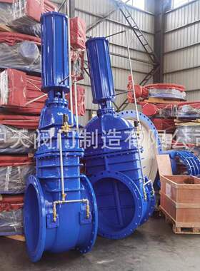 沪天阀门液控闸阀Z645X