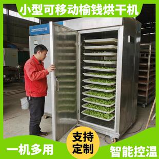 榆钱烘干机 小型电加热榆钱儿榆钱树叶烘干箱 榆实榆子脱水烘干房