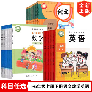 【新华书店正版】泉州专用2025适用人教版123456一二三四五六年级上下册语文+北师大数学+外研版【英语三起点】全套32本教材教科书