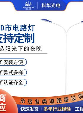 8m9m10m12mLED路灯市政工程道路照明防水防尘节能户外灯厂家