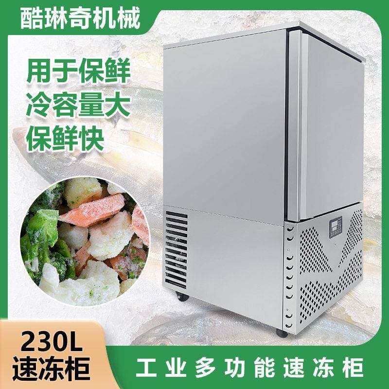 230L速冻柜商用大容量低温冷冻柜 温全冷冻 餐饮食材急冻储存柜