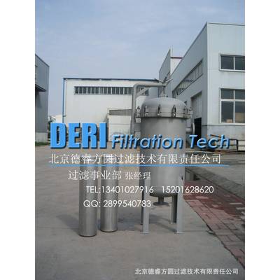 2袋袋式过滤器；袋式过滤器法兰接口带摇臂除液体中大颗粒物杂质