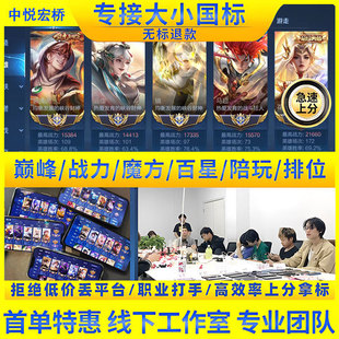 王者荣耀代练大小国标省标带练代打小魔方百星巅峰赛金标英雄战力