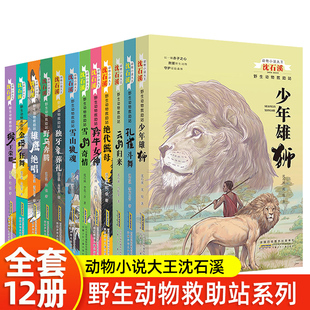 沈石溪动物小说系列全集全套野生动物救助站7 12周岁儿童文学读物小学课外阅读书籍三四五六年级我 野生动物朋友安徽少儿