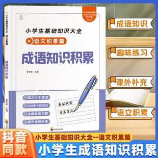 小学语文基础知识大全成语知识积累课外阅读正版小学生知识拓展