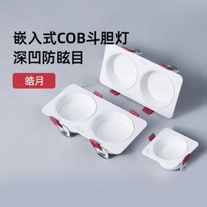 雷士照明cob斗胆灯双头嵌入式家用客厅无主灯防眩一体筒灯格栅灯