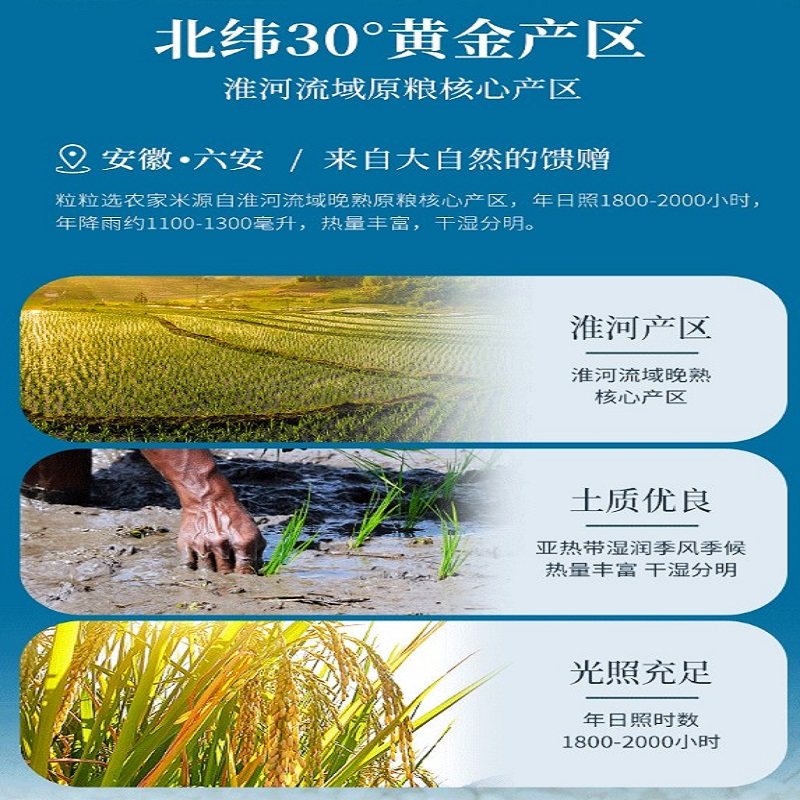 粒粒选优质农家大米砖真空包装长粒香稻粳米非东北煮米饭煲粥灿米