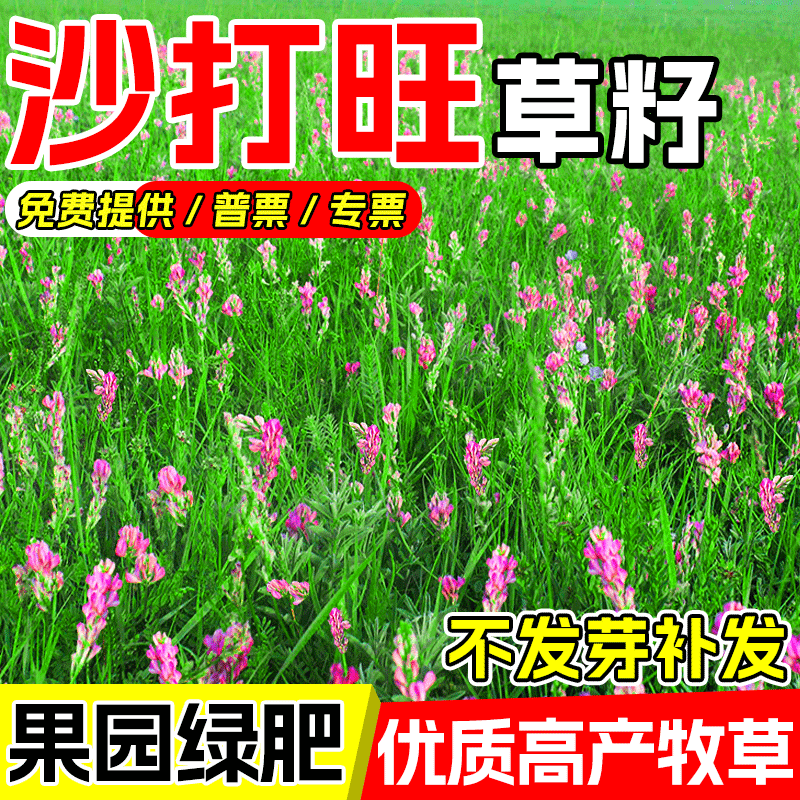 沙打旺草籽多年生四季高产果园绿肥防沙固土护坡绿化耐旱牧草种子,鲜花速递/花卉仿真/绿植园艺,家庭园艺种子,淘宝优惠券,粉丝福利购,淘宝优惠卷