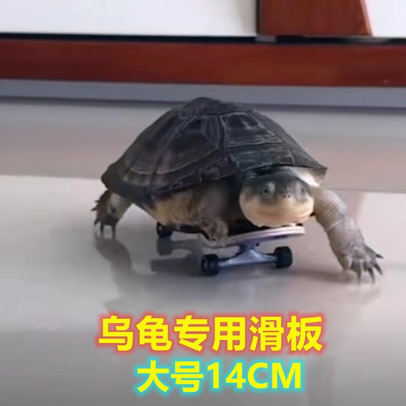 乌龟小滑板车手指指尖迷你玩具