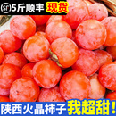 临潼脆水晶软甜小柿子 陕西火晶柿子新鲜30枚当季 水果整箱 包邮 应季
