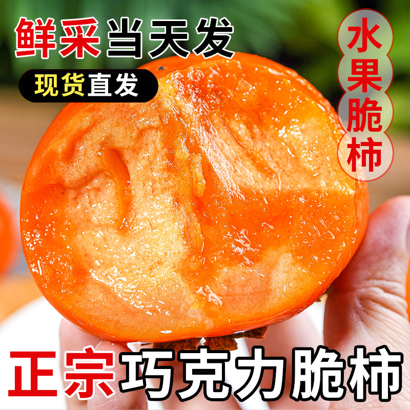 【官方推荐】【正宗巧克力脆柿】