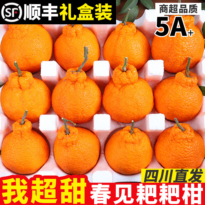 【官方力荐】【四川春见粑粑柑】