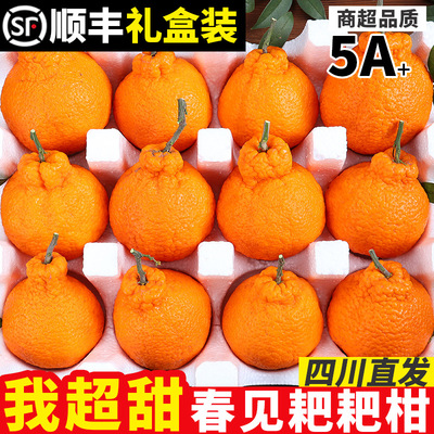 【官方力荐】【四川春见粑粑柑】