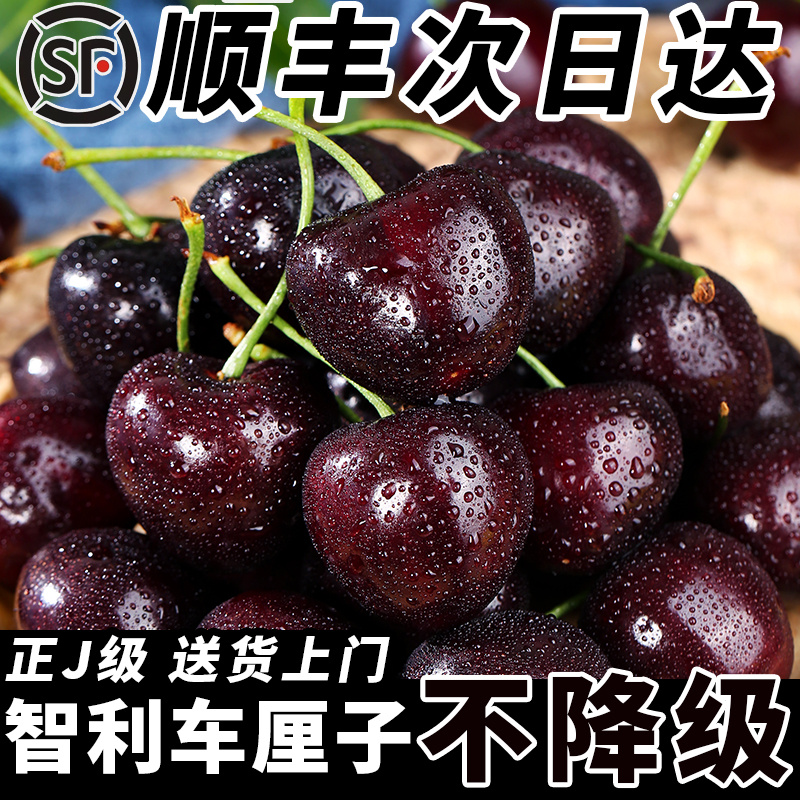 智利车厘子新鲜水果包邮5j5斤装礼盒进口孕妇大樱桃4j官方旗舰店3